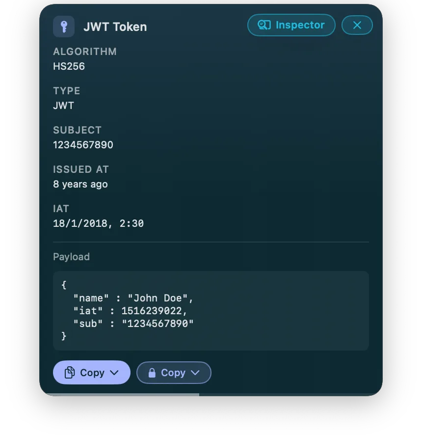 Little Eye decoding a JWT into its header, payload and expiry